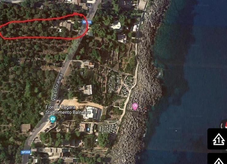 Villetta Dagre Fronte Mare Marittima Eksteriør bilde