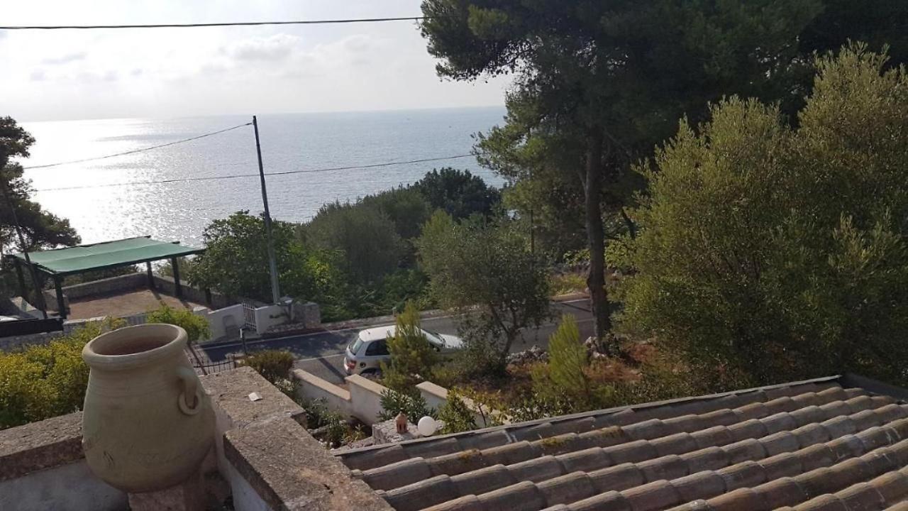 Villetta Dagre Fronte Mare Marittima Eksteriør bilde
