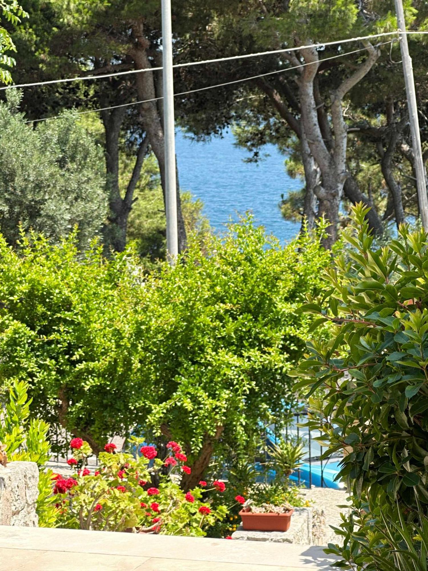 Villetta Dagre Fronte Mare Marittima Eksteriør bilde